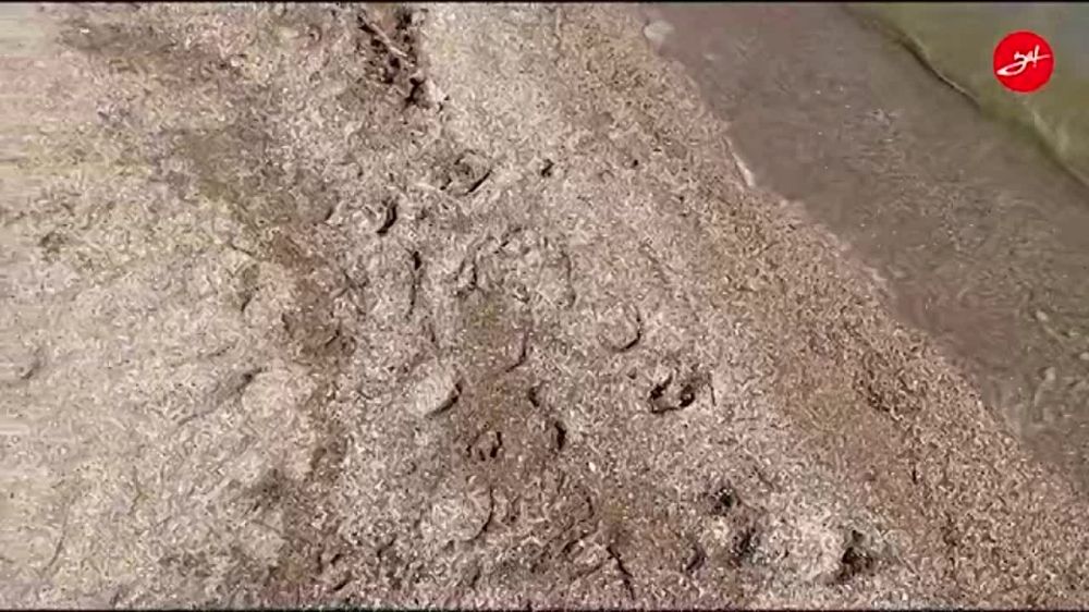 ����������� �������. � ��������� ������ ��������� �����