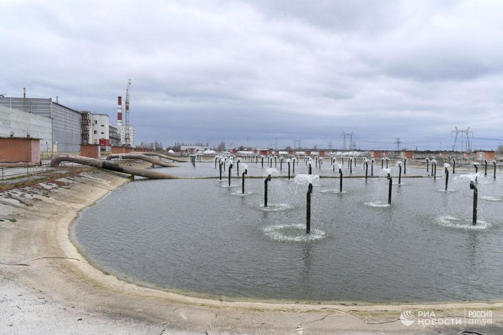 ������ ���� ������� ������ �� ���������� ��������� ������������ ����