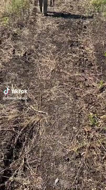 ��������� ������� �������� �� ���� 5 ������������ ����������� ����� ���������� �� ����������� �����������: 3 �������������� International MaxxPro � ��� ����� �-72