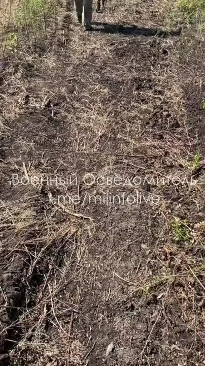 Евгений Лисицын: Российские подразделения уничтожили колону натовской бронетехники на Запорожском направлении