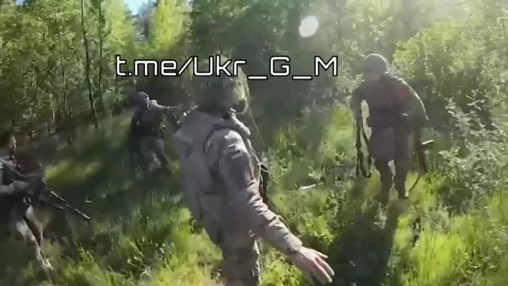 ������ ��������: - ��������� �������, ������ ����!