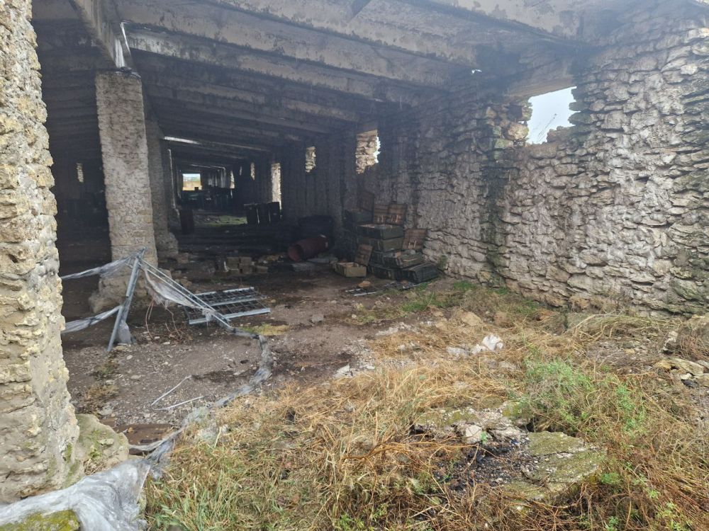 ����� �����: � ����� ��� ��������������� �� ������������ ������� �� �� ���������� ����������� ������� ���� ���������� ������ �������� �����������, �������������� �� �����������