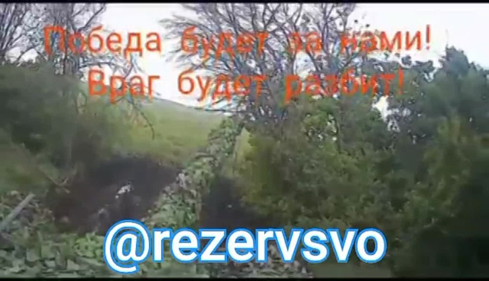 �������-���������� �����������.����� �� ����� ��������� .������ ��������� ������� �� ������