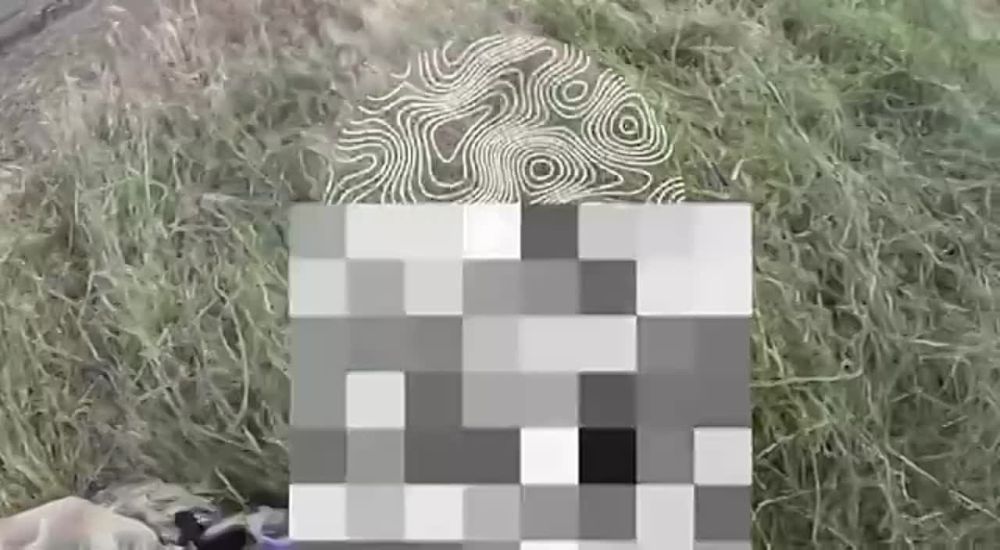��� ������, ����� ����������� ����� �� �� �����