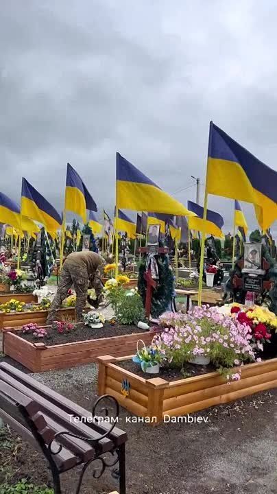 ����� �����: ����� ������� ������ �� ���� �������