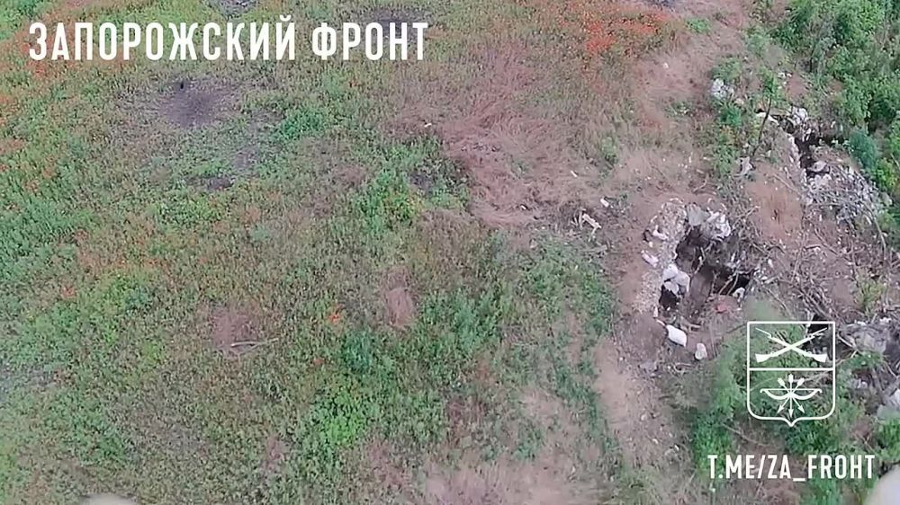 FPV-����� �� �����. ������������ ���������� ��������� �������������� ����� ���������� �� ����������� �����������
