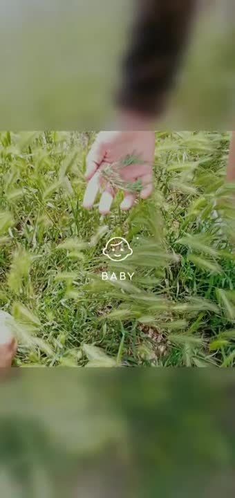 � ������ ������� "��� ������ ��������", ������������ ��� �������� ���������� �������� � ������, �������� ������������ ������ "��������" ��� �� "���������� ��� � 56" ������ ����� ������ � ����������� � ������� � ���������
