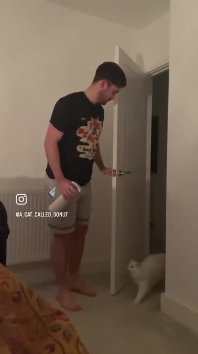 ����� ���: ���, ������� ������� �������������
