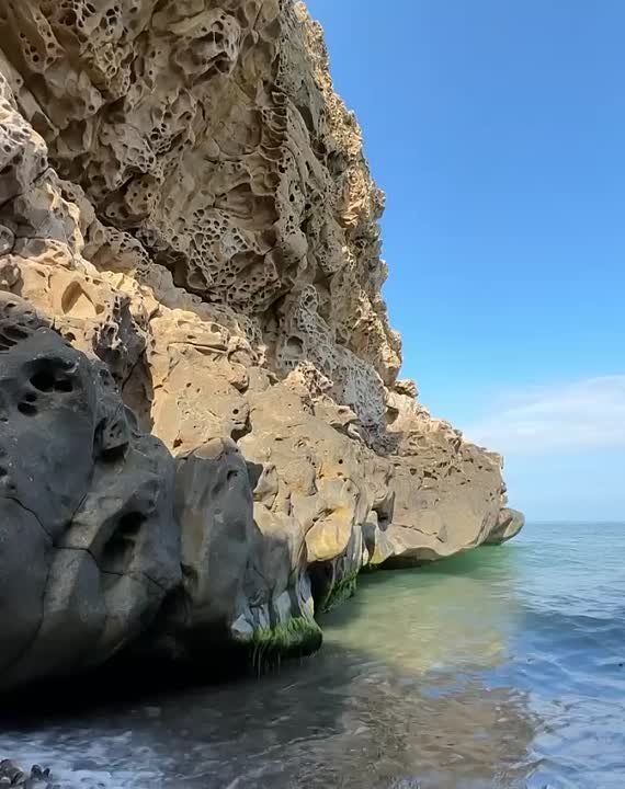 ���� �� ����� ���������� ���� ������������ ������ - ������ �����