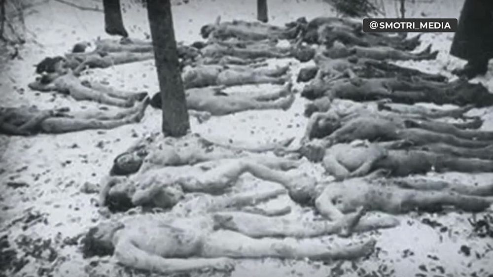 Дмитрий Ворона: На пленарном заседании Владимир Владимирович Путин показал видео о зверствах украинских националистов во времена ВОВ. «Как можно не бороться с этим? Если это не неонацизм, то что это такое?»