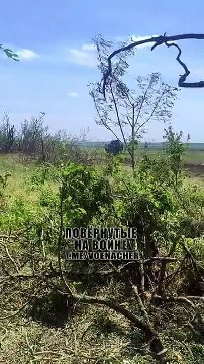 �������� ������� ��� � ������ ������������ �������