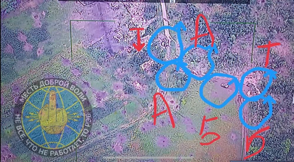 ����� �����: ������������ ������� + ��������� ������ ��� �� ����������� ����������� - 2 ����� (�� ������ ���������� - �), 2 ��� (���������� - �), 2 �������� ����� "�����" (���������� - �)