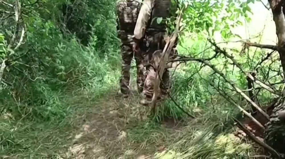 ������ �� ��������� �������� ������ 71 �����