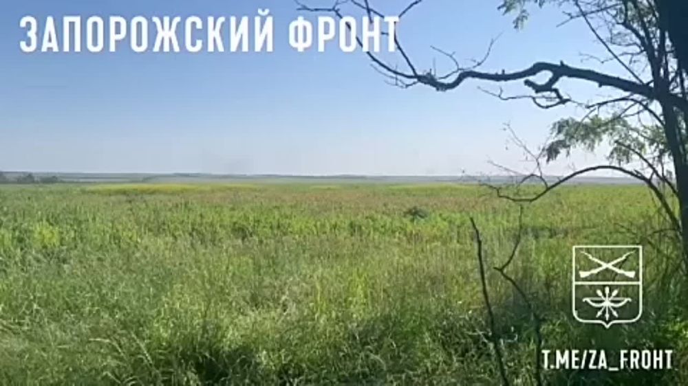 ���� ��������� ���������� � ���� �������� �� ������������ ���������� �� ����������� ������-�������� � �������������� �� 1430 ���