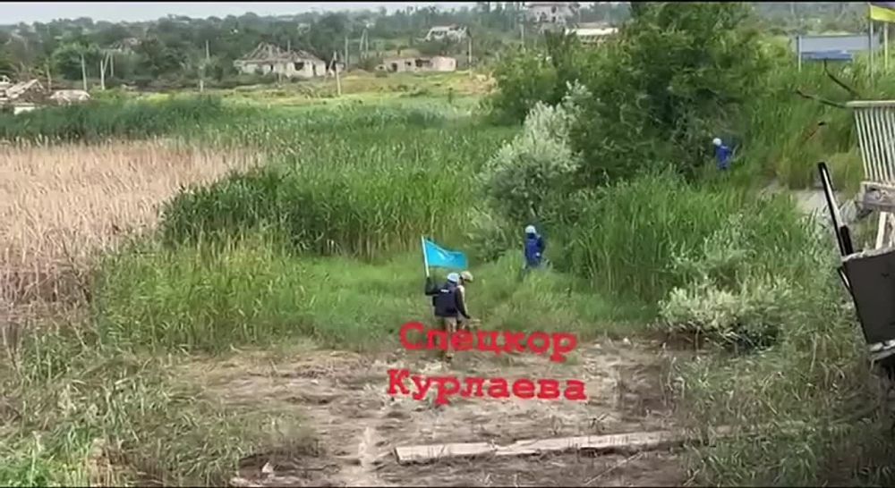 ����������� ������ � ���� ������ �� ����������� ��� �������� ��������������� ��������� ���������� �������