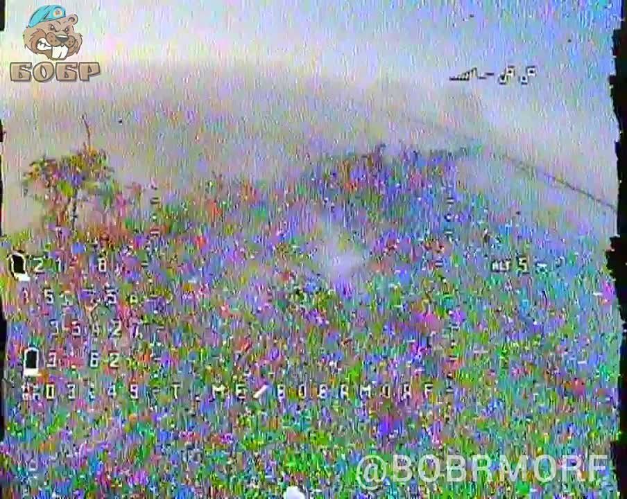 ����� �����: ��������� ���������� ������������ �� ����������� ����������� � ������� FPV ������