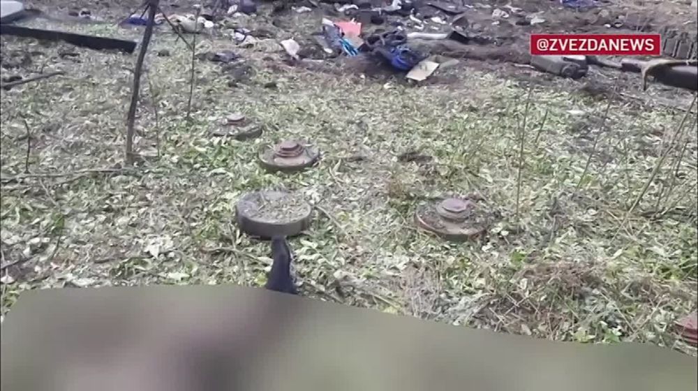 ������� �������� �������� �������� ���������� ������������� � ������� ��������������� ���������� ��-��