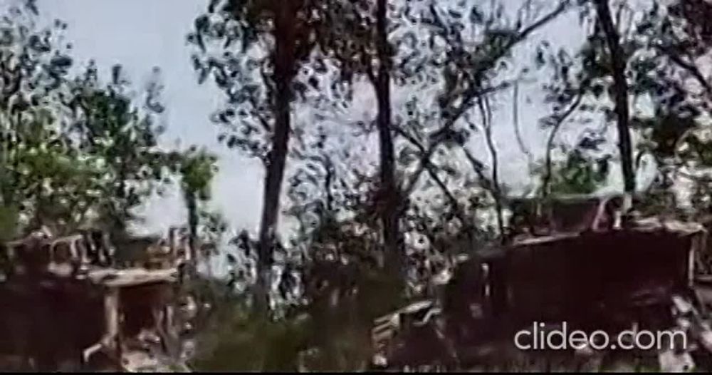 ������ �������: ��� ������������ �� ����������� ����������� ���������� ��������������� International MaxxPro ������������� ������������