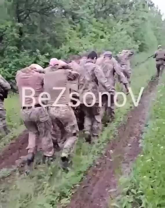 ���������� ������� ������� ������� � ���� ������� ������ �� ������ ������������