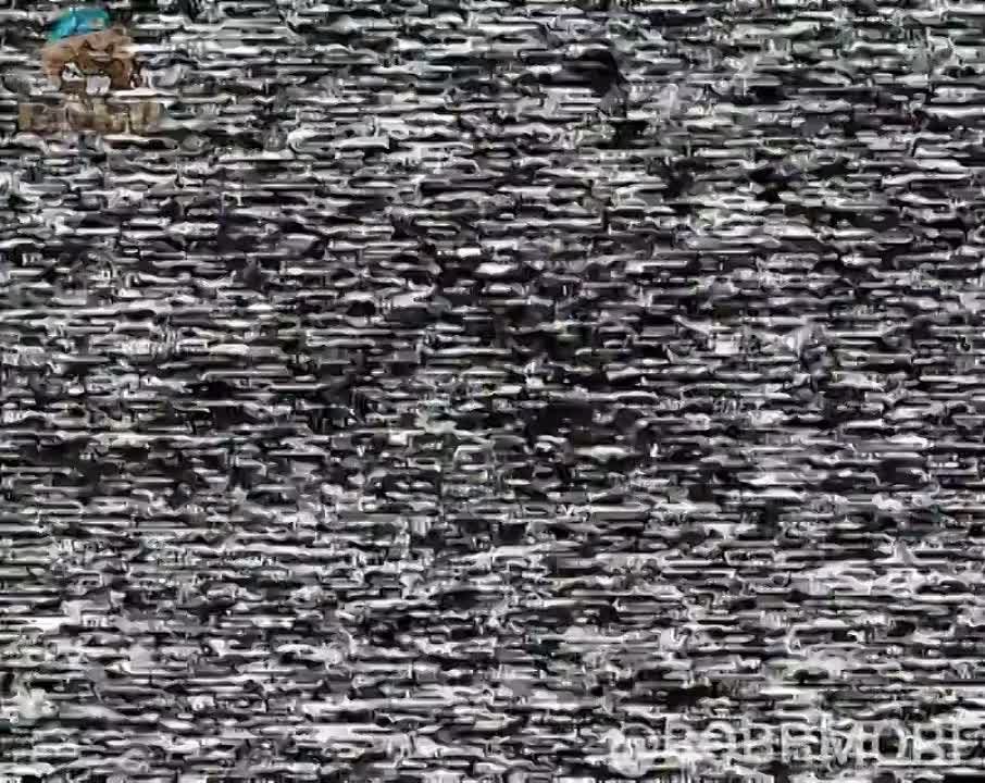 Евгений Лисицын: На Запорожском направлении приуныл еще один немецкий «Леопард»