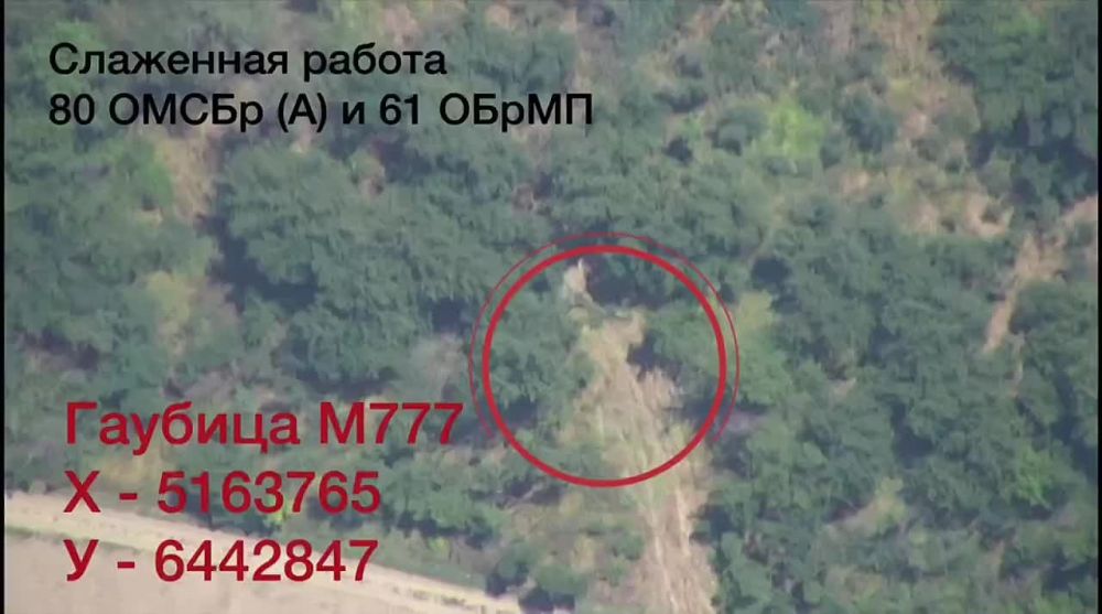 Евгений Лисицын: Оперативная сводка на вечер 19 июня: