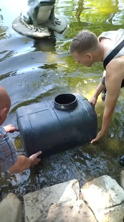 � ���� ����� �������� ��������� ������� �����