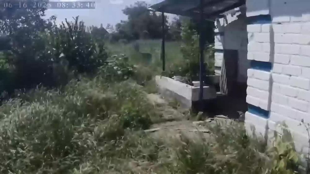 ������ ������ ����������� ��������� ������� �� ������ ���������� ������, ���������� ��� � ���������� �� ����������� �����������