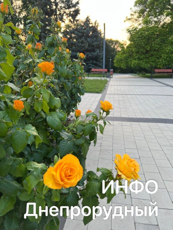 ���� ����������� ������ ���� ������ � ��������, ����� ���� ���� ������ ��� �� ����� � �������� ������� ��� ����