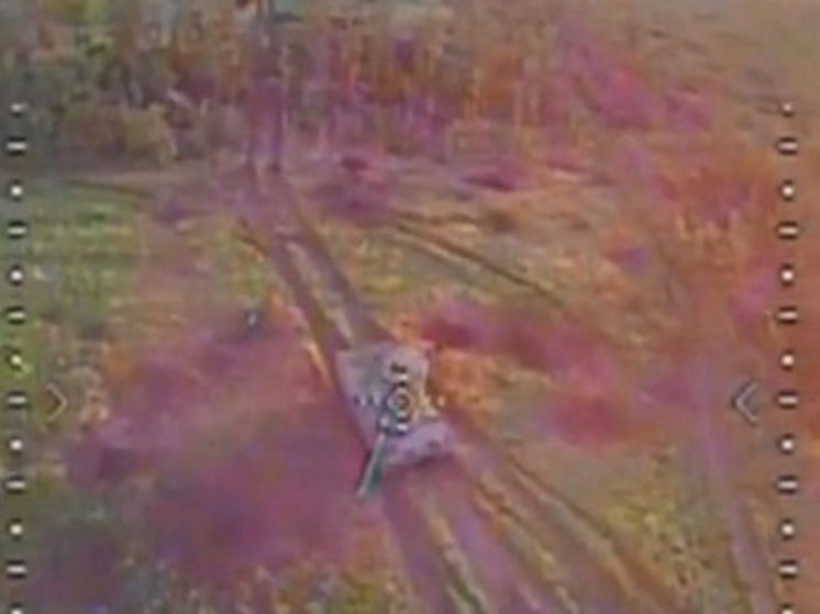 ���������� �������� ����� ���������� ����� Leopard �� ����������� �����������