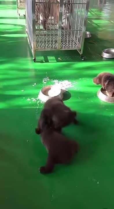 � ������ � ������������� ������ ��������