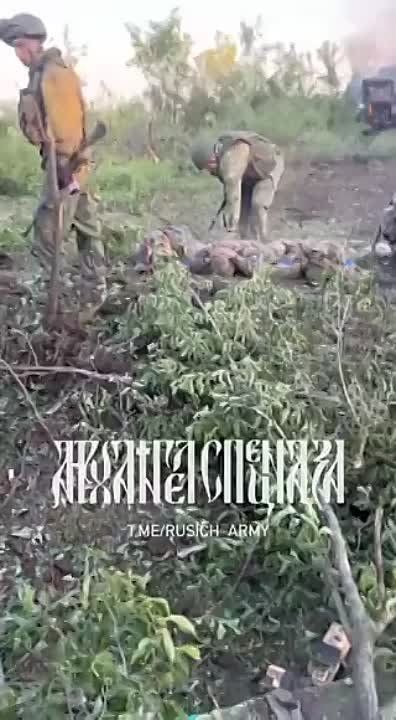 ���� �� �������: 47-� ���������������� ������� ���������� ����� �������, ����� �������� � ������� � ����������� �������, ������ �� ��� �� ��� �������� ����� �����������