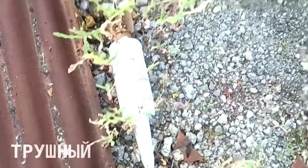 ������� ������ ��������� ������������ ������ ���� �������, 5-� ������� �� �� � ����������� 40-� ������� ������� ������ ��� ��� ��������� ����������� �� �.�. ������������ �� ���������� �������