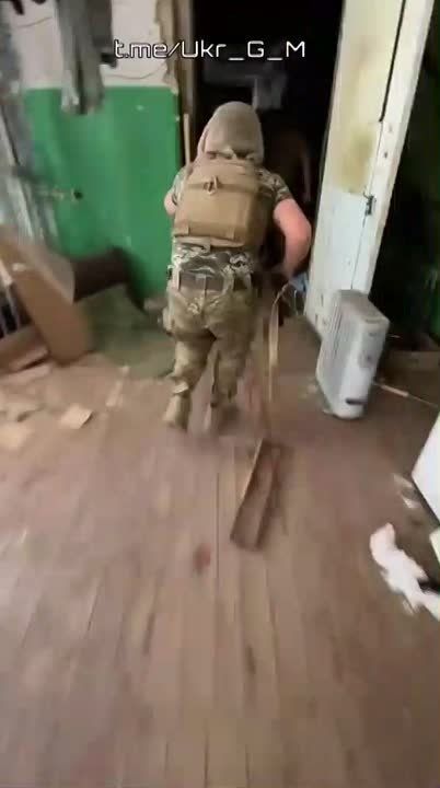 ���������, ����� ��� ������� ����� ���������� ����������, ������ ���� � ������� �������� �������������