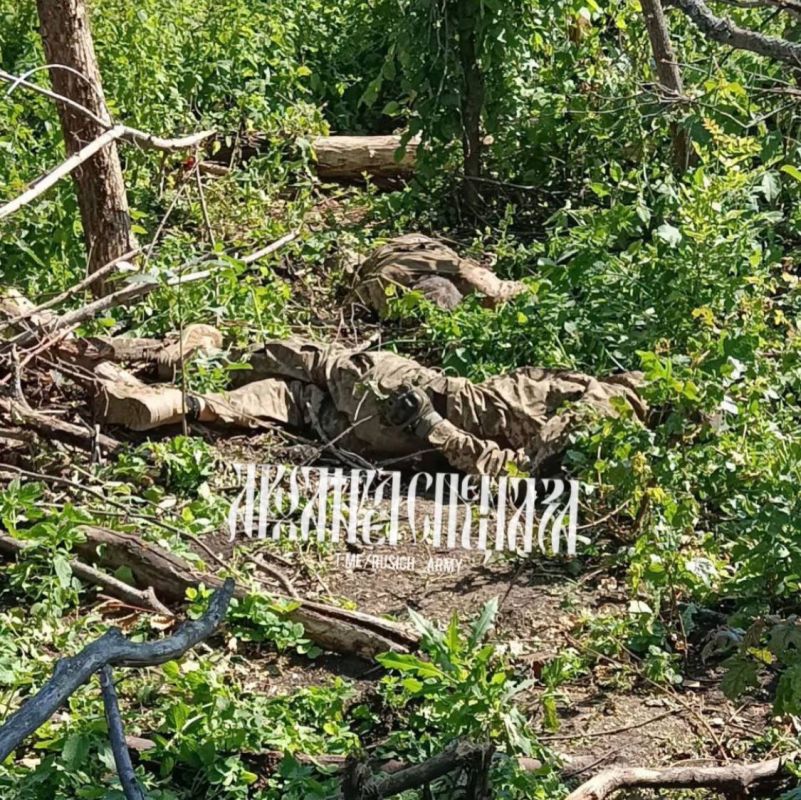 ����� �����: ����������� ��������� ����� �� ����������� �����������