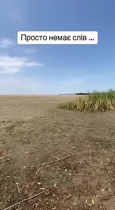 Юрий Котенок: На ряде участков дно Каховского водохранилища уже неотличимо от степи