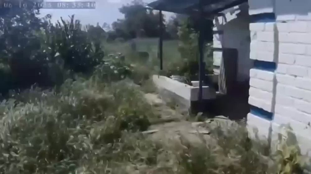 ������������, ����� �������! <...> �����, �����, � �����! � � ������� 300, � ������, � ������� �������