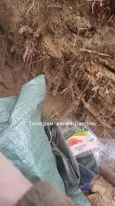 ������ �������: ������, ������ ���� ���������� ������ �����-���������������� �� ����������� V �� ��. ������� "������������" � ������������ �������� �� ����������� �����������