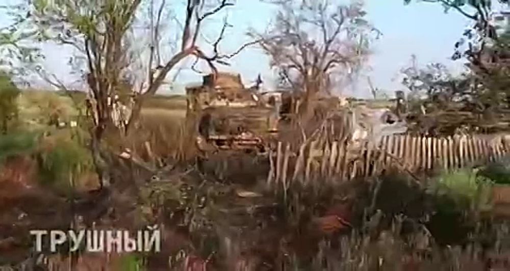 �������� � ��������� ��������������� Mastiff, Husky � �-64�� ��� � ������ �.�. ������������
