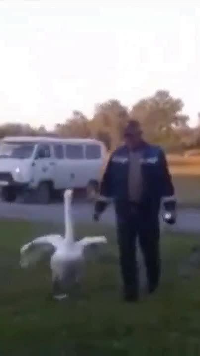 ������ ������� ����� ����, ��� ����� � ����� �� �������� ����� ������ ����������� �����