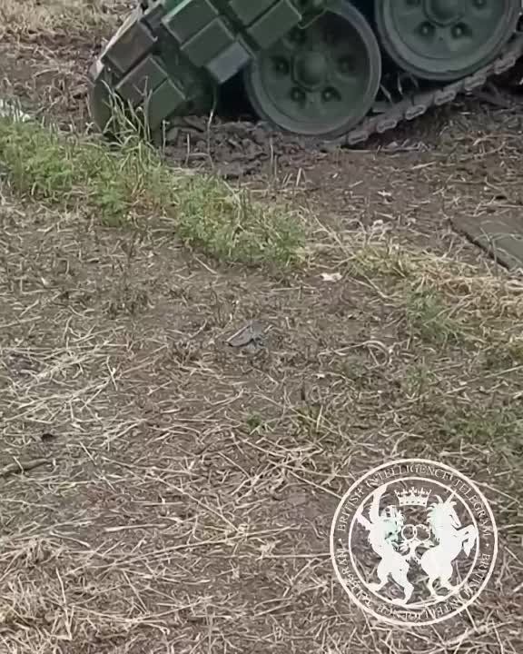 ���� ��������: ��� �������� "���������"