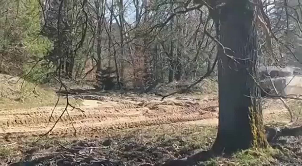 ��������� �������� ����� Leopard 2 � ���� ���������������� ���������� ����� �� ����������� ������