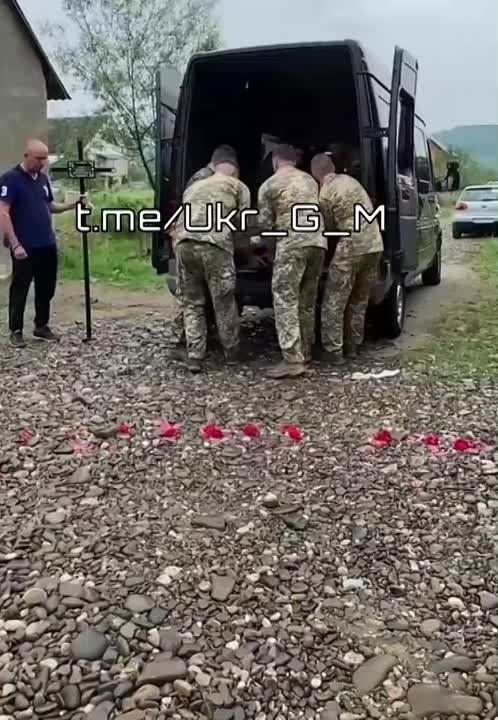 ����� ������� ������ �� ���� �������