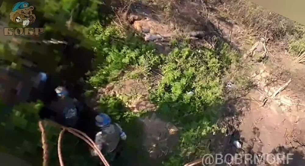 Юрий Котенок: Прилет FPV-дрона прямо в окоп ВСУ. Кадры сделаны на Запорожском направлении