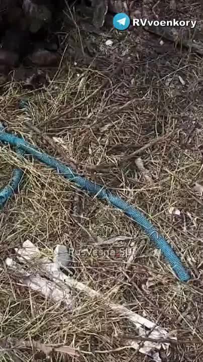 �� ����� ����������� ������� � ��� ���� ����� � ������� ���� �������� ����� ������������ �����