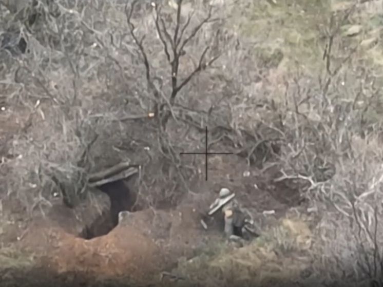 ����������� ������ � ������ ����������� ����� � ���� ���