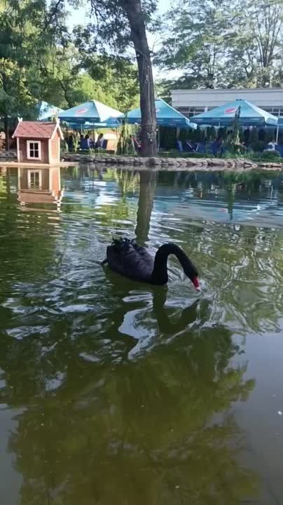 �� ��� ����� �� �����, � ��� ��� �������� �� ���� � ������� � �����������