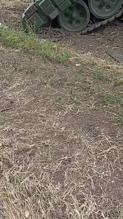 ������ �������: ���������� "�����������" �� ����������� �����������