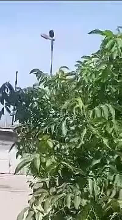 ���������� ������� ������� ���� �� ����� ��������� ��������� � ���������
