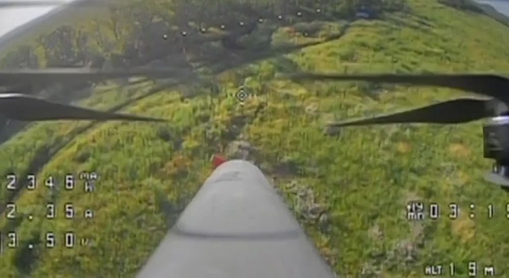 ������� ���������: ������� ������������� � ������� ��� ������������ ���� �������������: �� ������ - ����������� �������� ������������� �� ����������� �����������