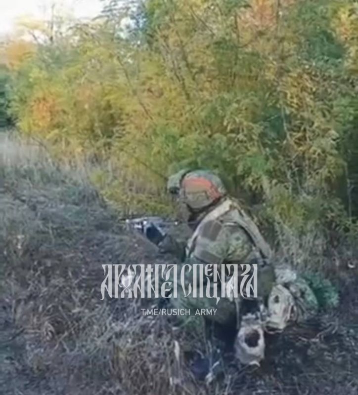 ����������� �����������: